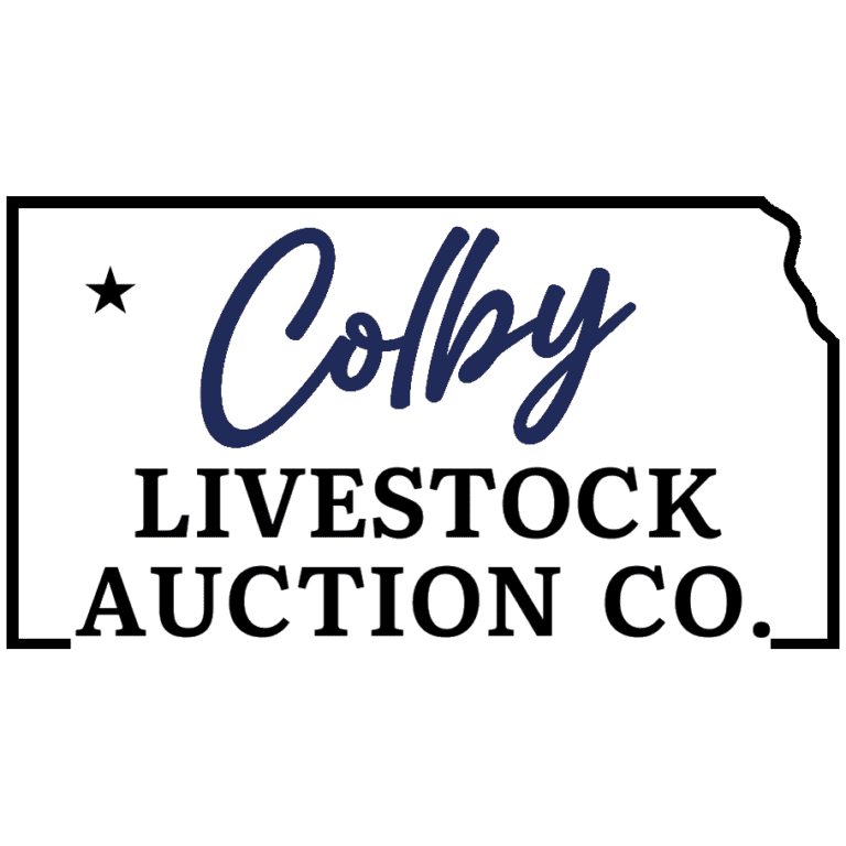 Buy Sell - Cattle, Sheep, Goats Sale barn located in Colby Kansas